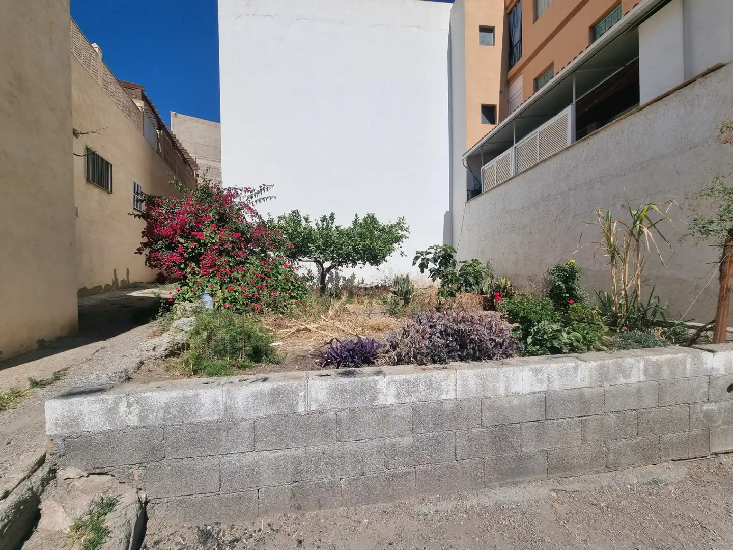 Wohnbaugrundstück zum Verkauf in Calle Navarro Darax 23