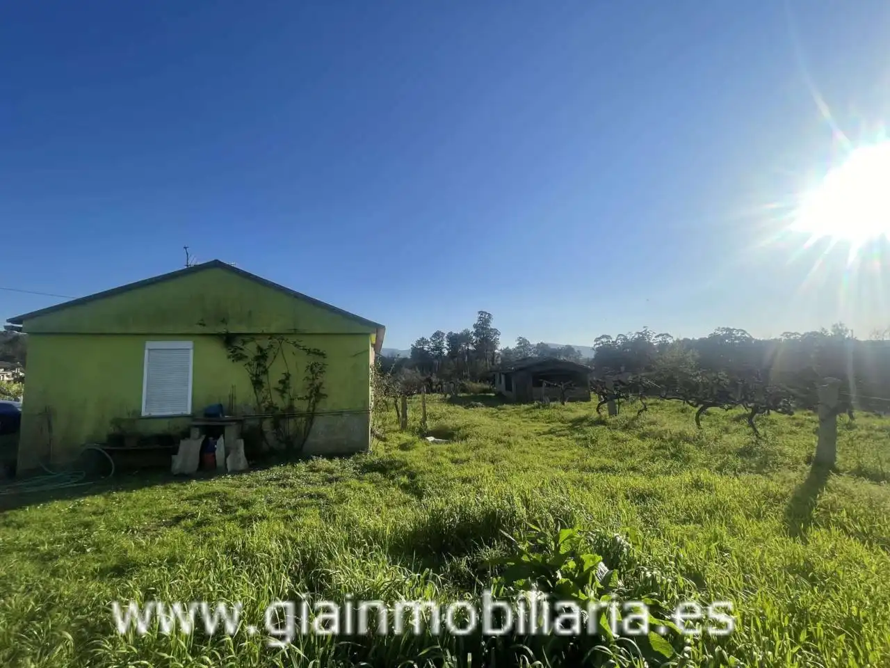 Casa con jardín en venta en Calle Xestal, imagen 11