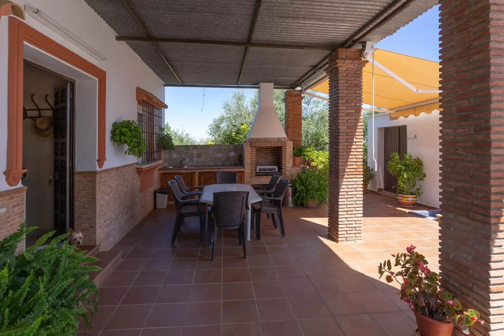 Villa mit Pool zur Miete in Centro, imagen 5