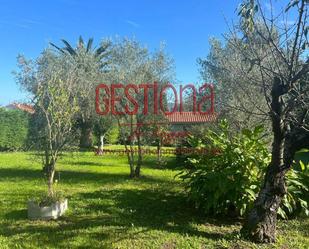 Garden of Premises for sale in Bareyo