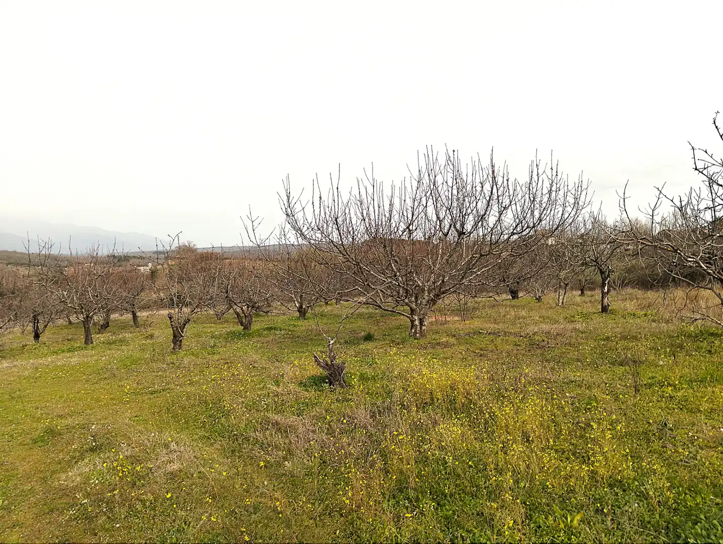 Terreno en venta en Collado de la Vera