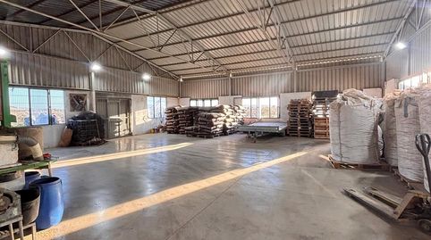 Foto 4 de Terreno en venta en Parcela Cascante, Cabanes y Las Fuentes, Villena