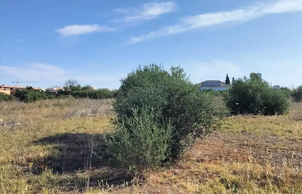 Terreni e lotti in vendita a Carretera de Palomares, imagen 25