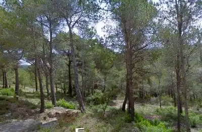 Terreny rústic en venda a CL TORRELLES (PARCELA 610L) Nº 78, imagen 11