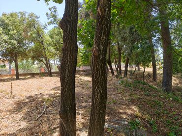 Wohnbaugrundstück zum Verkauf in Carrer Sant Eloi