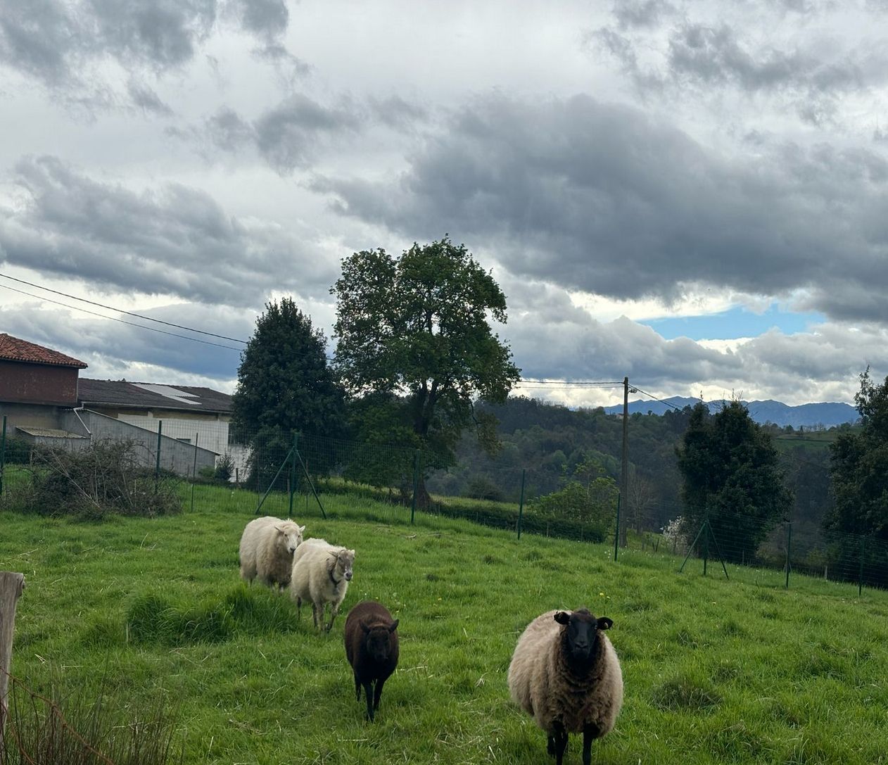 Residencial en venda a Caserio Vare, Parroquias Norte