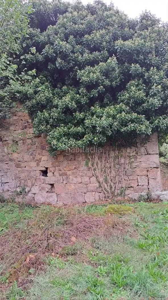 Terreny rústic en venda a Barrio Sel del Tojo 37, imagen 3