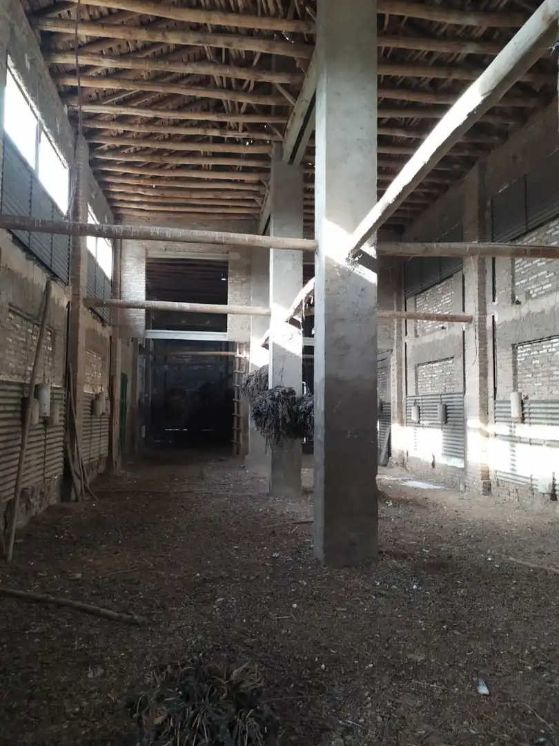 Casa rústica en venda a Ronda, imagen 36