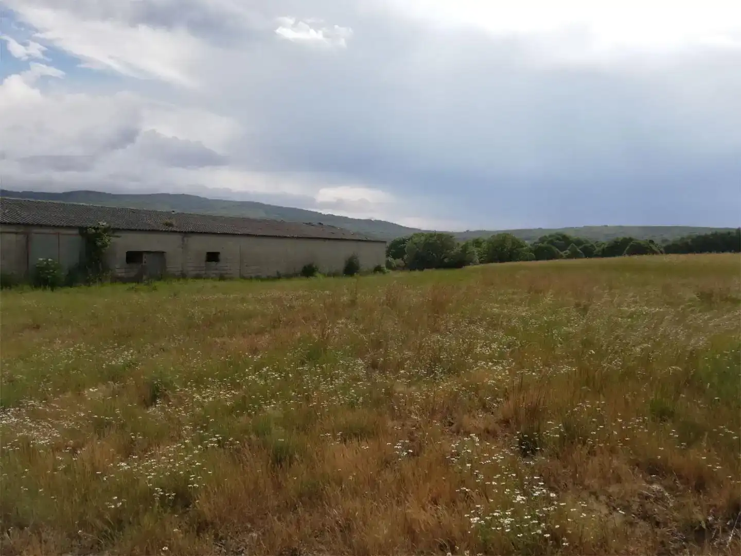 Finca rústica en venta en Os Blancos 