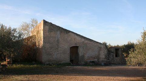 Finca rústica con Masía a reformar y agua corriente cultivo olivos ecológico., image 2