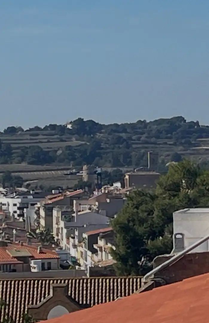 Maison avec terrasse à vendre à Calle Pi, imagen 13