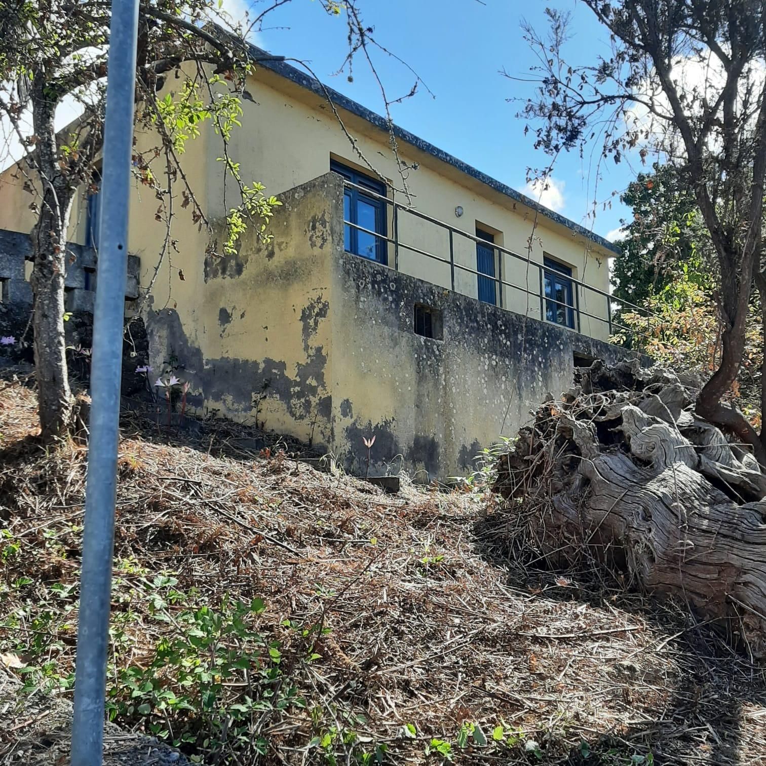 Finca rústica en venda a La Perdoma - San Antonio - Benijos