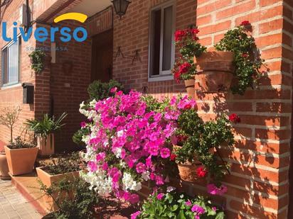 Terrace of Single-family semi-detached for sale in Sardón de Duero