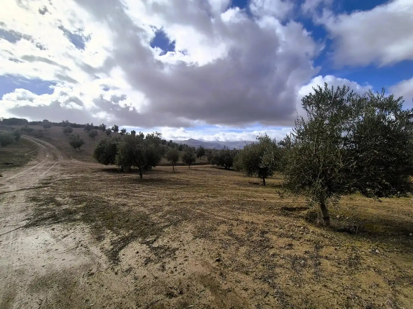 Terreno rústico en venta en Salar, imagen 8