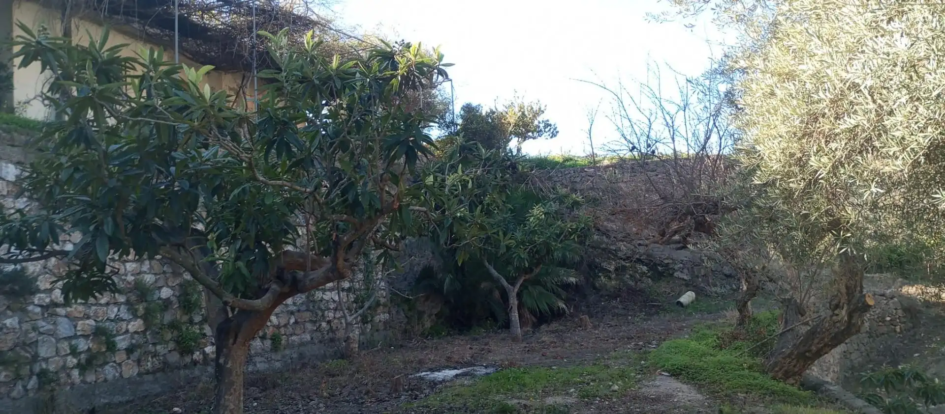 Casa rústica amb jardí en venda a Vélez de Benaudalla, imagen 6