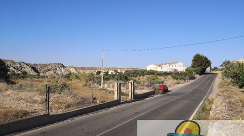 ArboleasTerreno, immagine 3