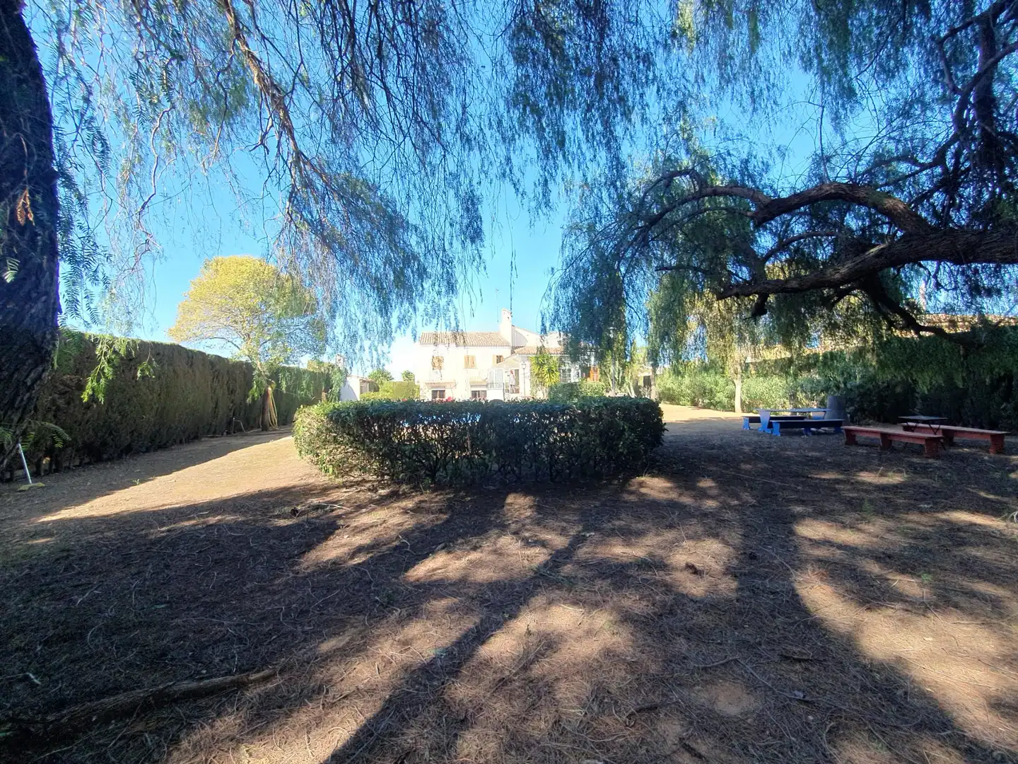 Maison à vendre à Canals, imagen 5