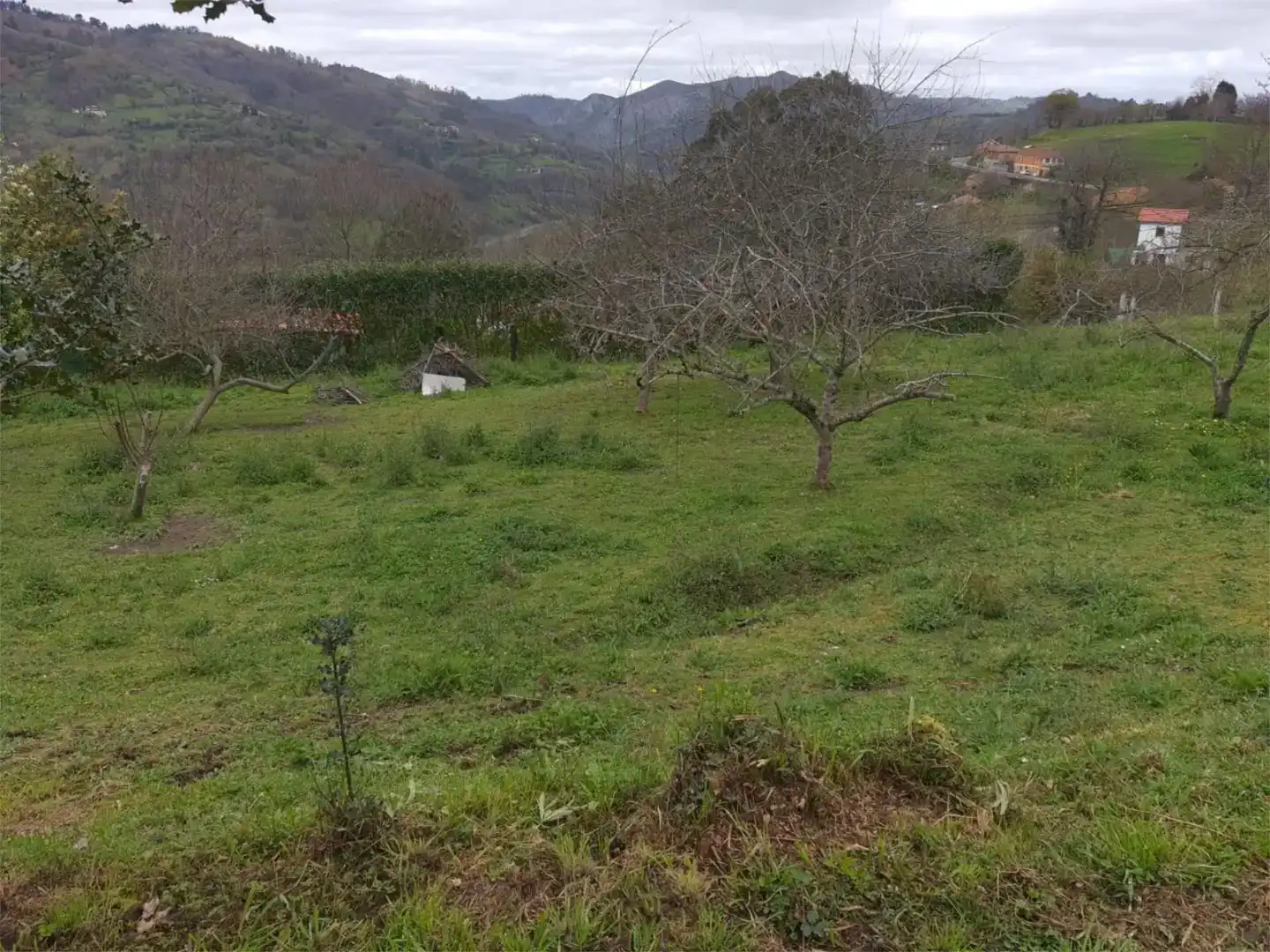 Casa o xalet en venda en Mieres (Asturias)