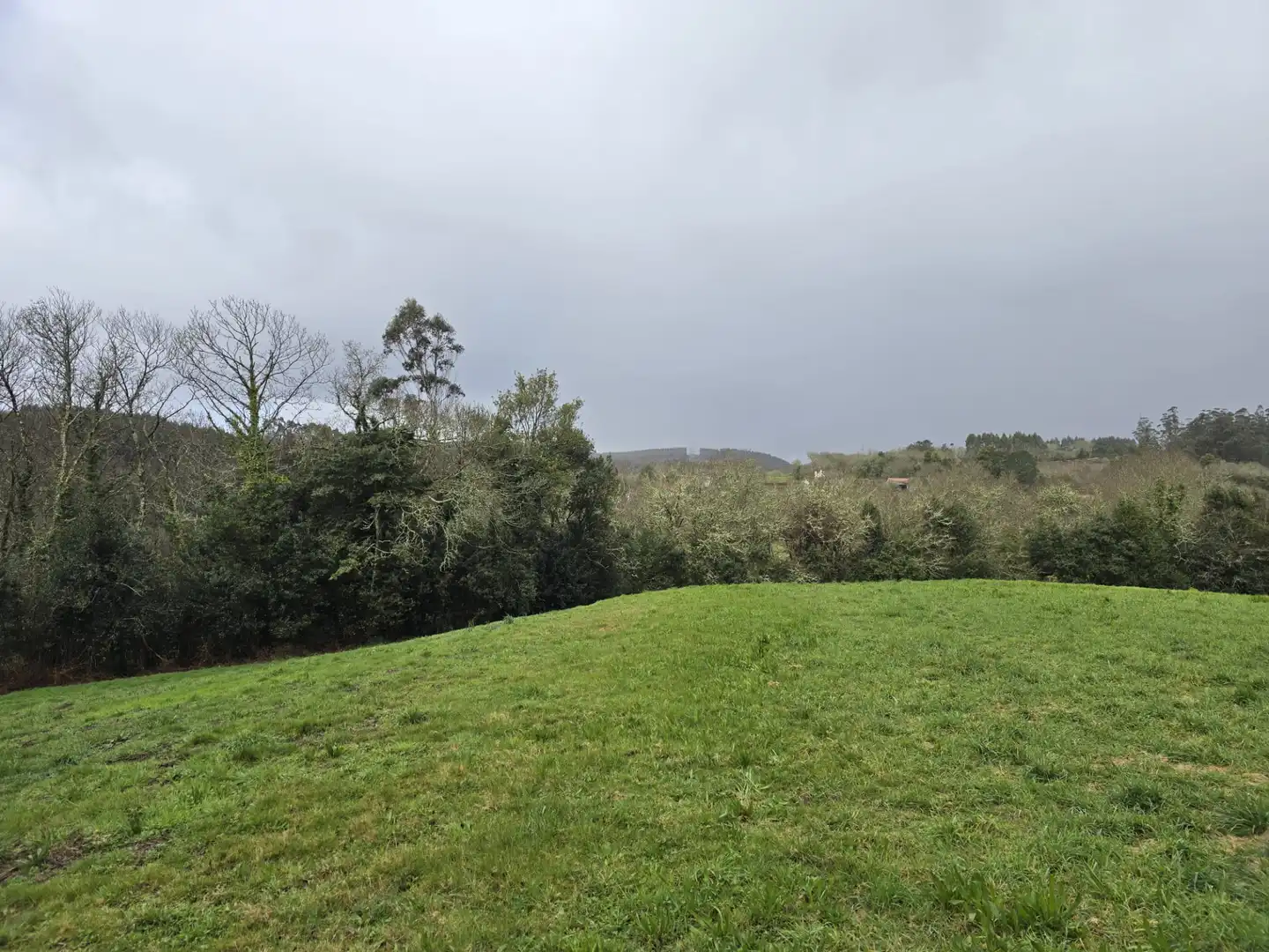 Finca rústica en venta en Cerceda con Jardín privado