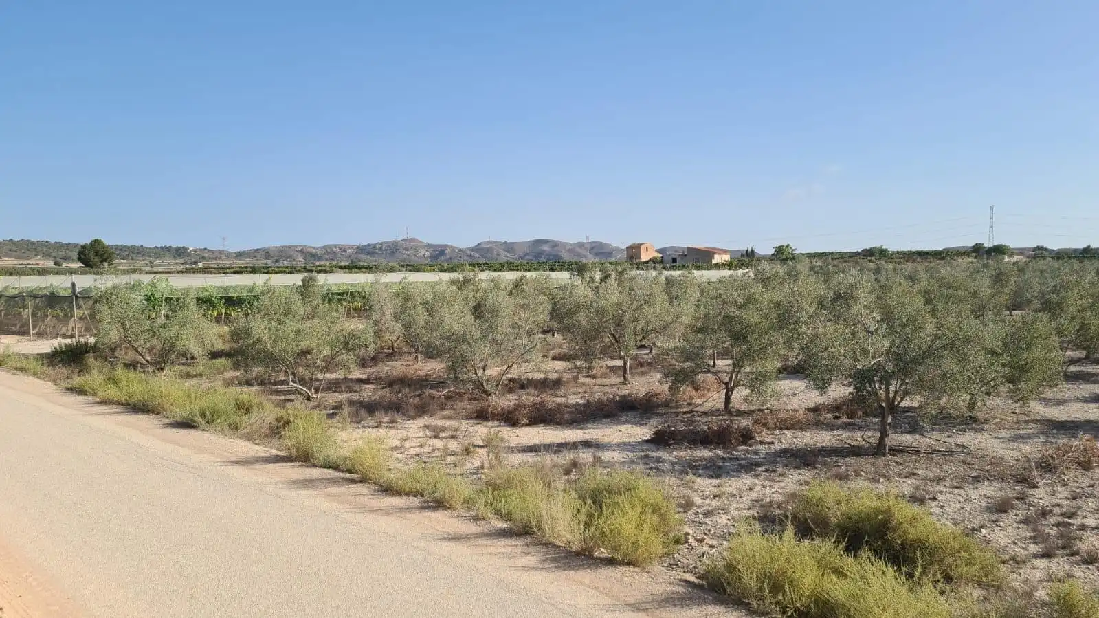 Terrenos y solares en venta en Monforte del Cid, imagen 9