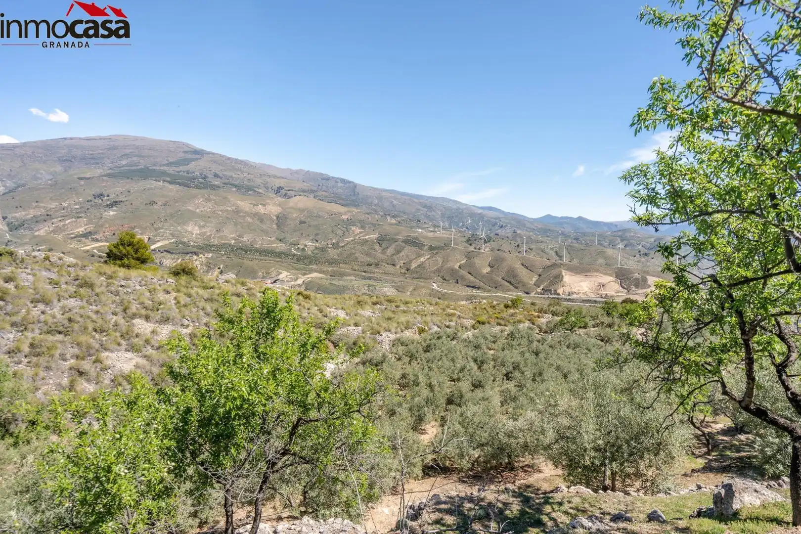Land for sale in Lúcar