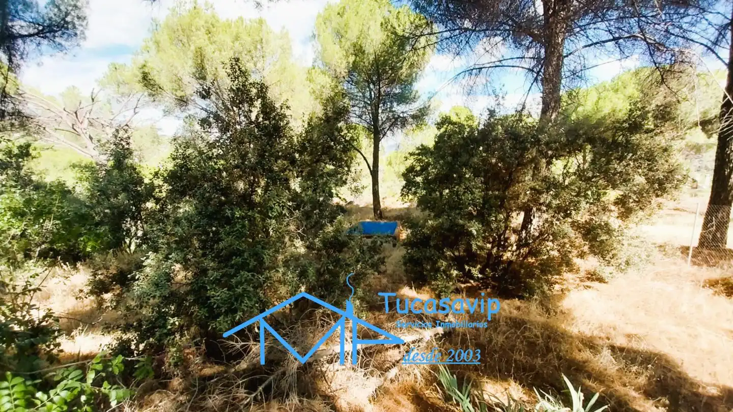 Casa en venda a San Martín de Valdeiglesias, imagen 43