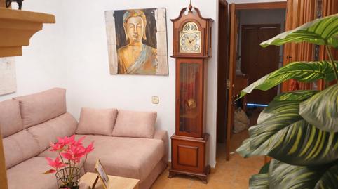 Photo 2 of House or chalet for sale in Bornos, Cádiz