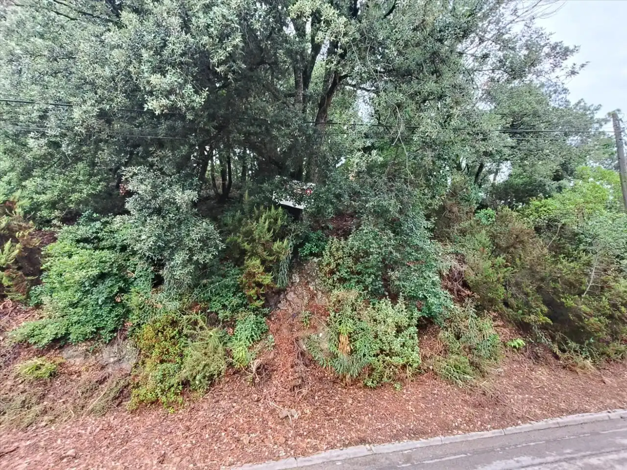 Wohnbaugrundstück zum Verkauf in Serra De Sant Feliu, imagen 11