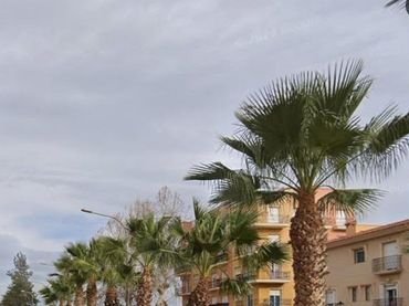 Flat with lift for sale in Cuevas del Almanzora pueblo
