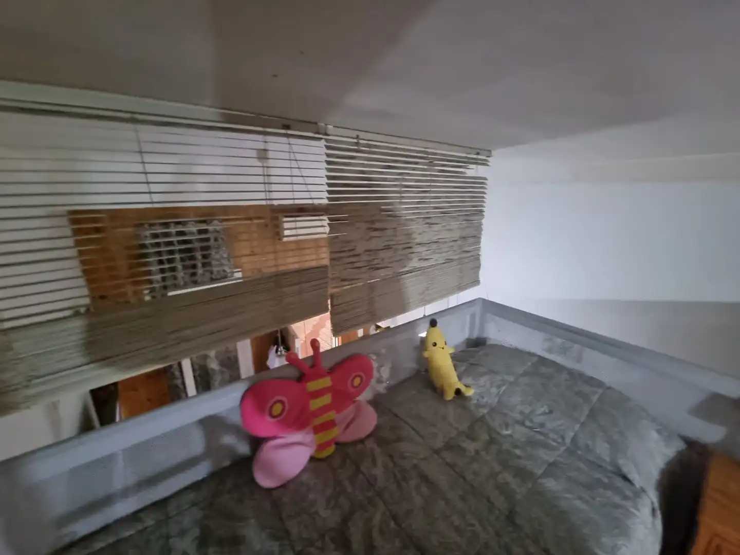 Study for sale in EDUARDO AGUILERA ROMERO, 9, Manantiales - Estación de Autobuses