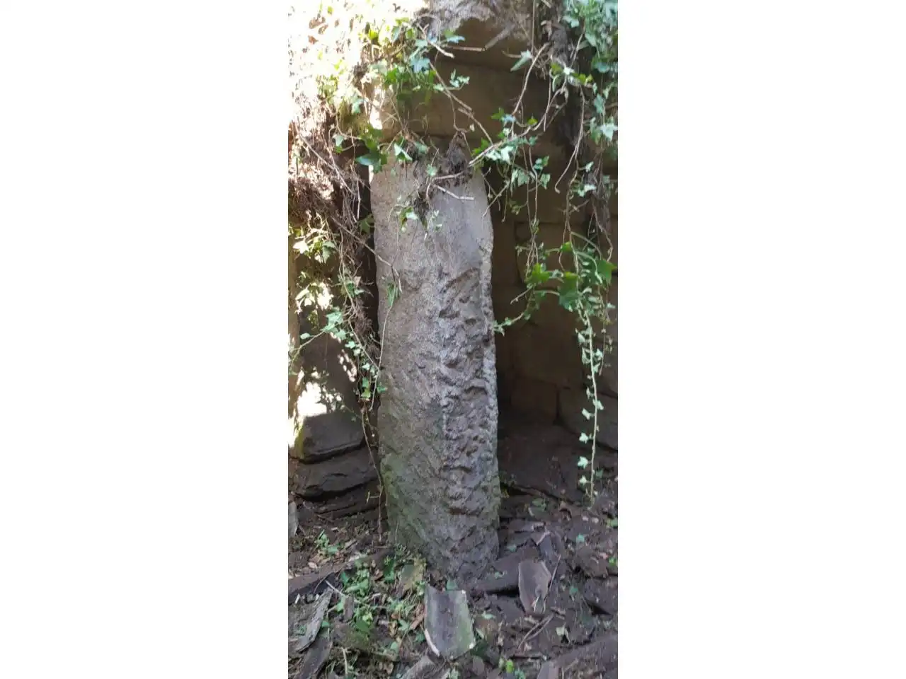 Terreni e lotti in vendita a Ventiun, imagen 7