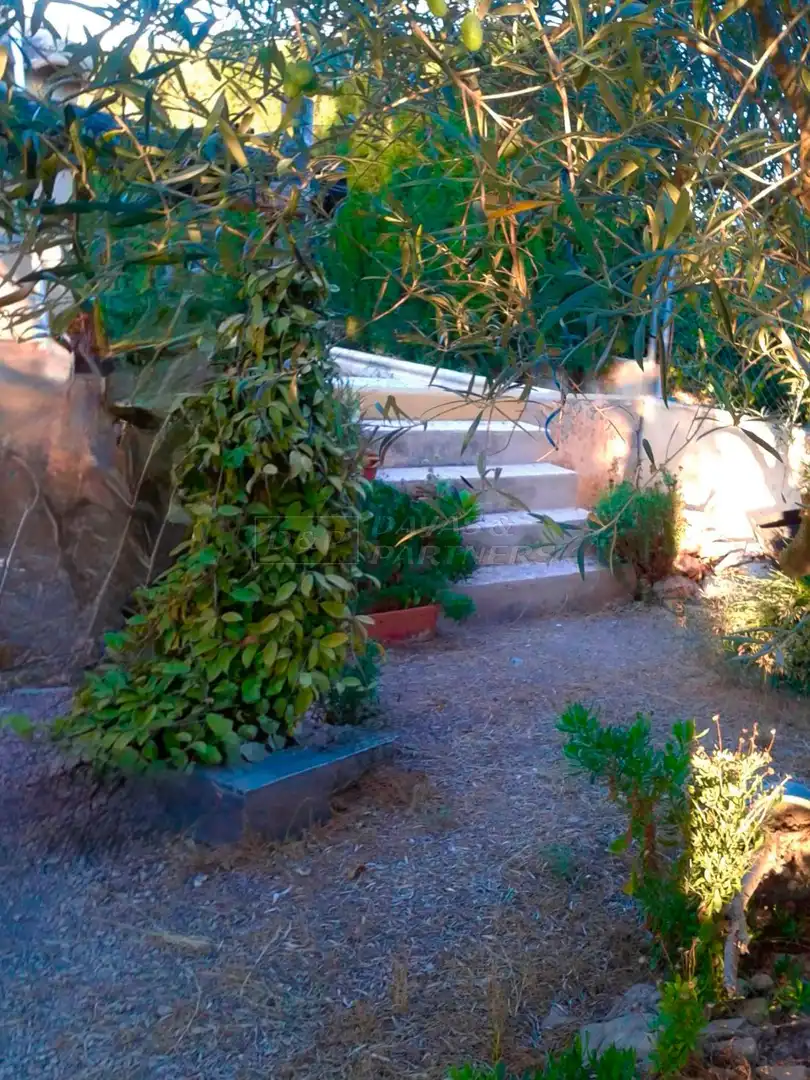 Jardín de Finca rústica en venta en Orihuela con Piscina