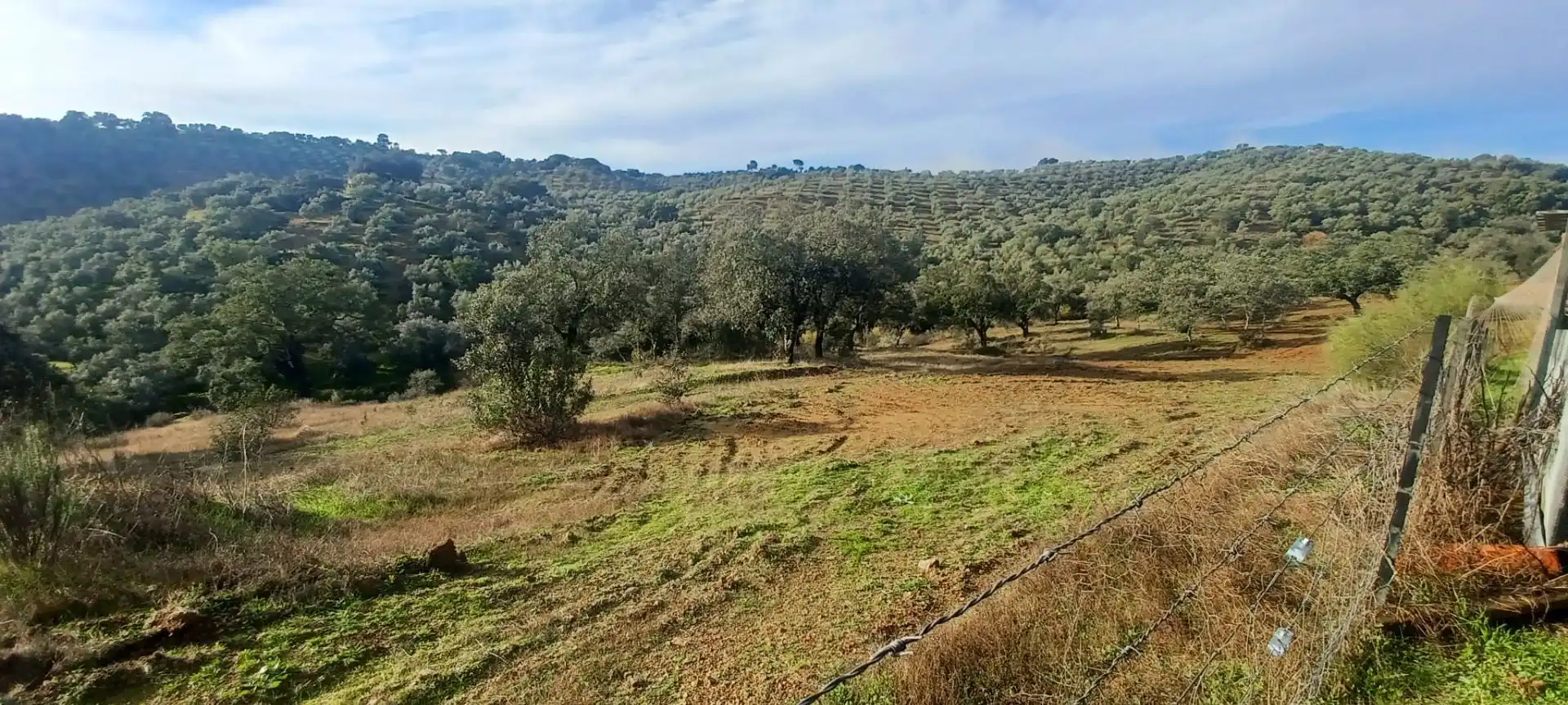 Terreni e lotti in vendita a Cazalla de la Sierra, imagen 49