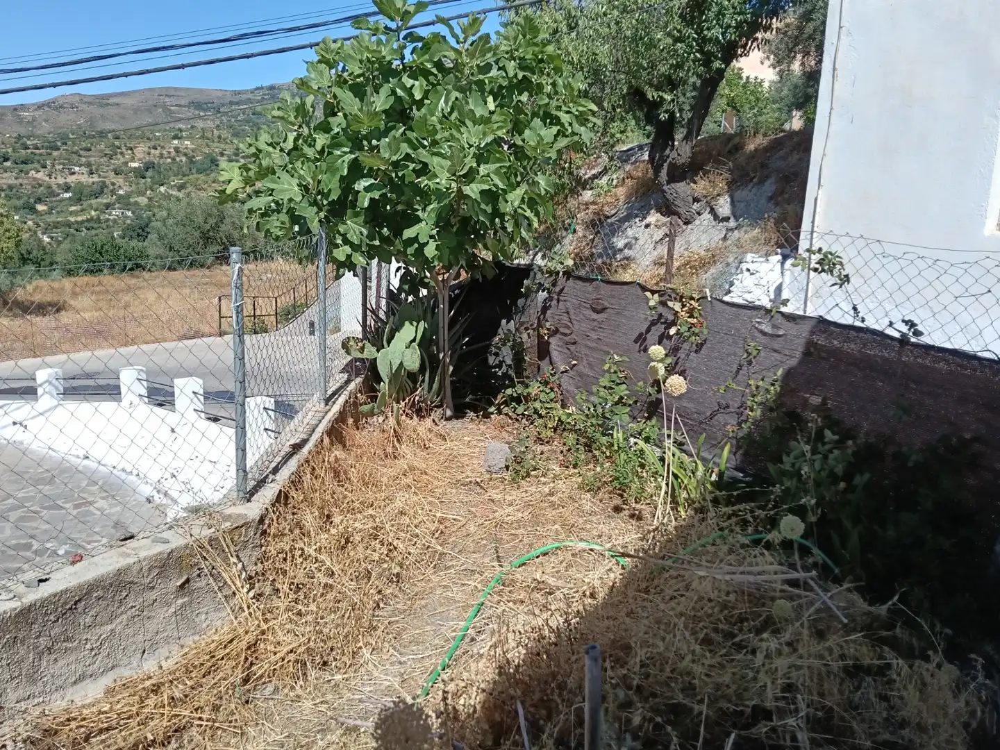 Jardín de Casa o chalet en venta en Válor con Calefacción, Jardín privado y Terraza