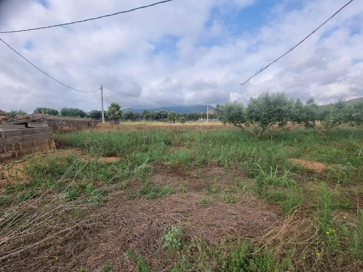 Terreno rústico en venta en Polígono 53 Paraje 73 MAS D´EN CARRASCA, imagen 28
