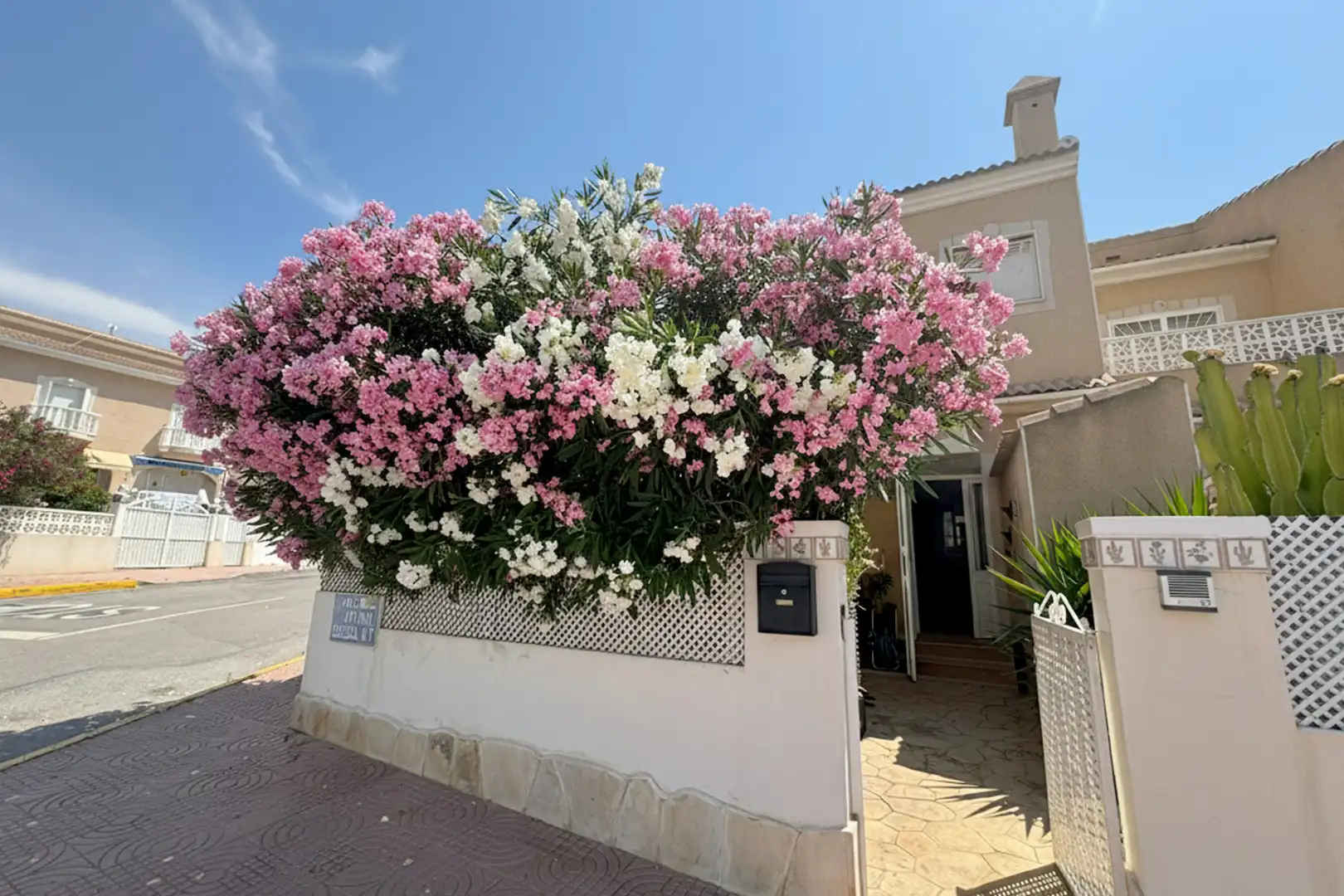 Vista exterior de Casa o chalet en venta en Rojales con Aire acondicionado, Calefacción y Jardín privado