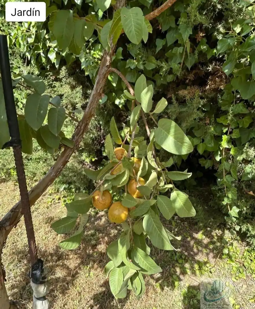 Garten von Country house zum Verkauf in Puerto Real mit Klimaanlage, Abstellraum und Schwimmbad