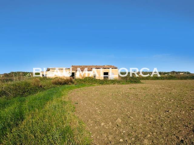 Finca rústica en Venta en Petra