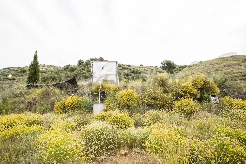 Rustikales Grundstück zum Verkauf in Torrox Pueblo, imagen 2
