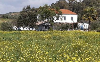 Country house for sale in Olvera