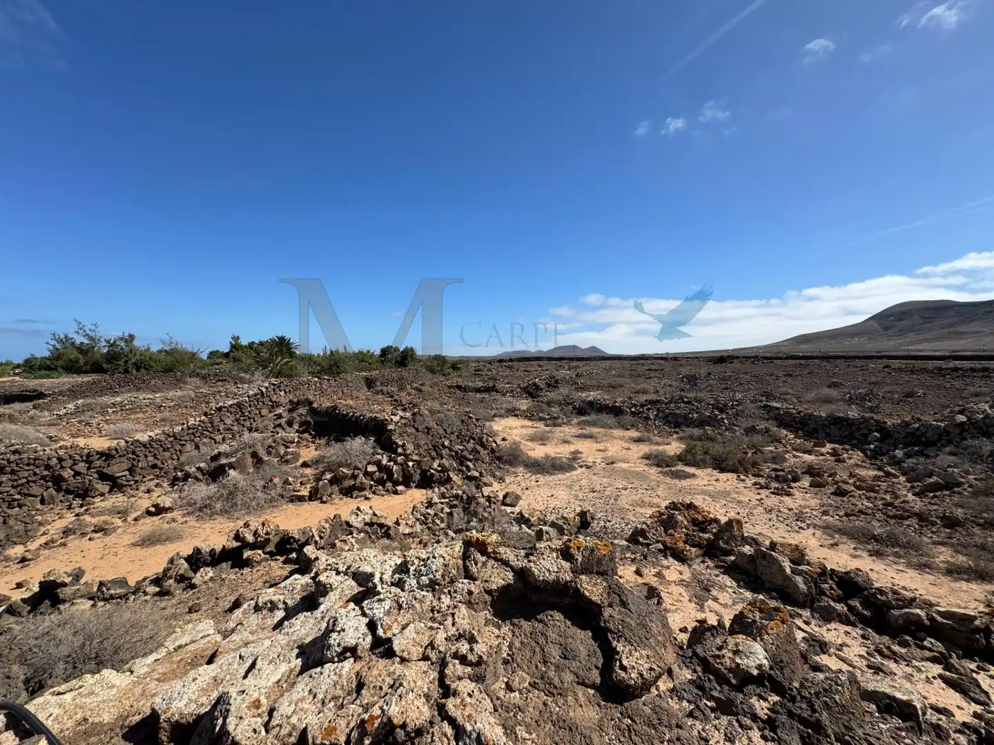 Land for sale in La Oliva