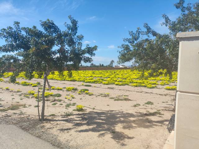 Terreno residencial en Venta en Los Arenales del Sol