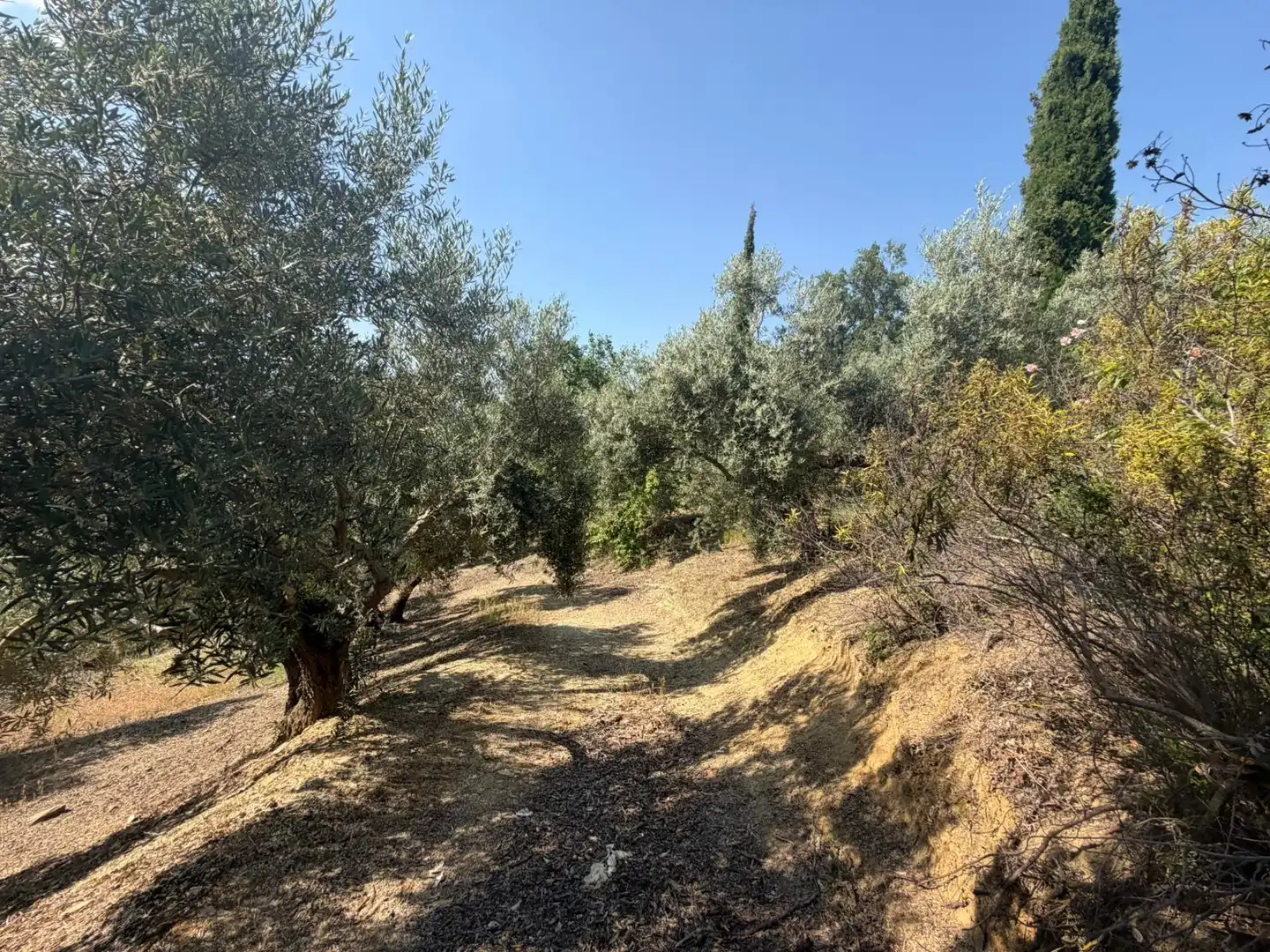 Finca rústica en venta en Los Villares con Terraza, Trastero y Piscina