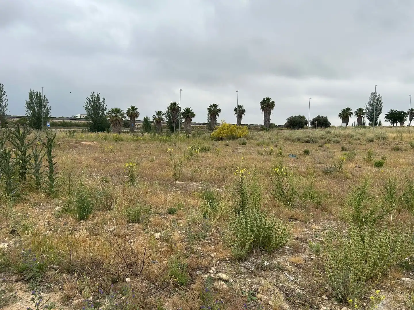 Lands and plots for sale in Mollina, imagen 6