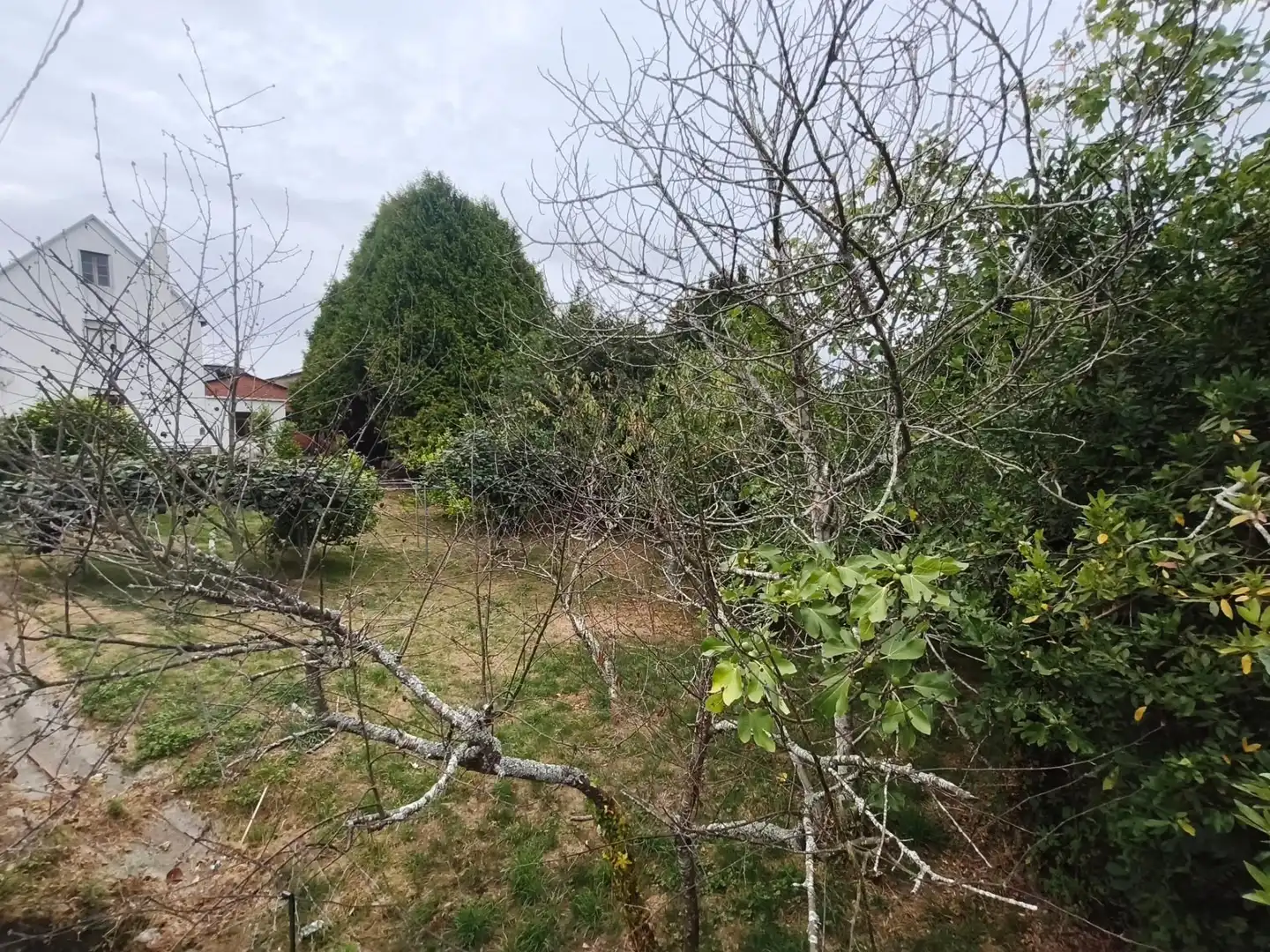 Maison avec jardin à vendre à Carretera GOLPILLEIRA, imagen 44