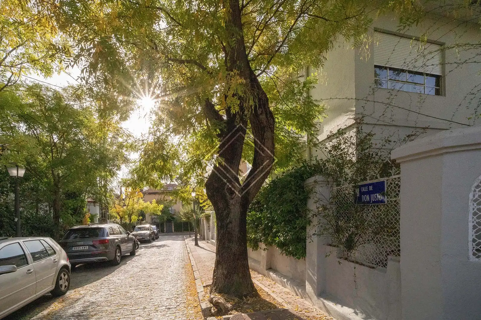 Vista exterior de Casa o chalet en venta en Madrid