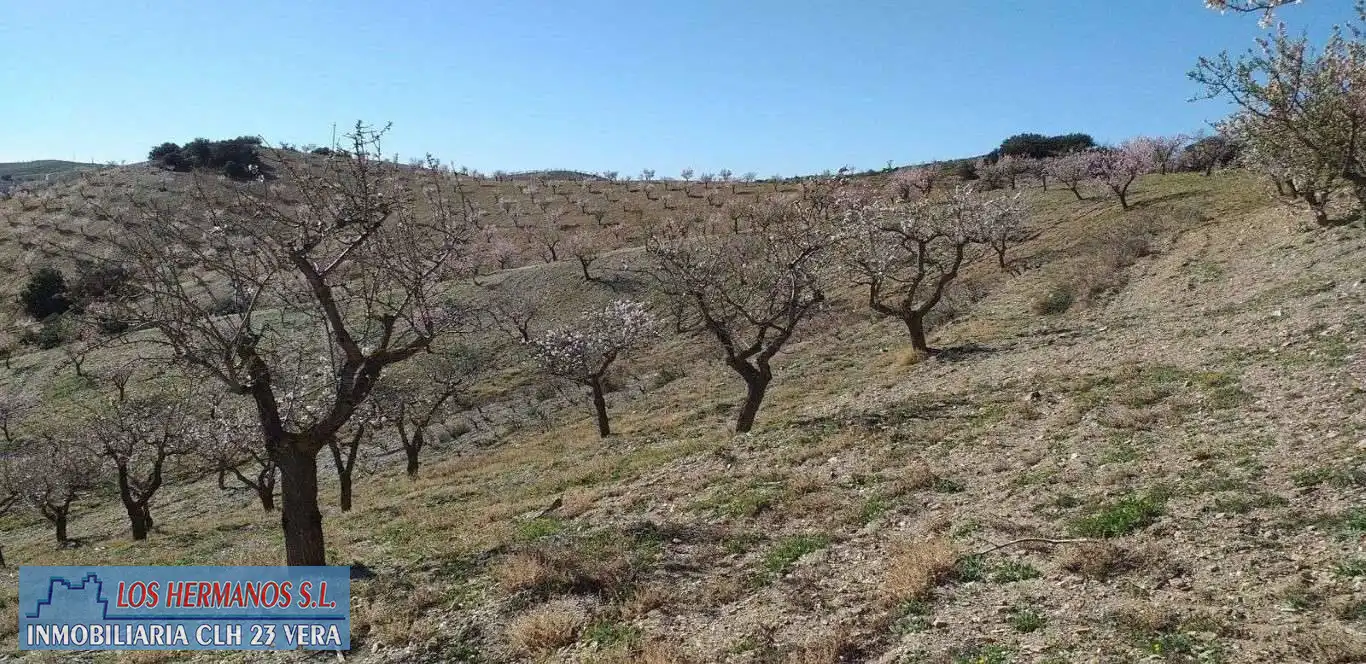 Finca rústica en venta en Vélez-Rubio