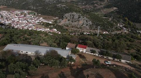 Foto 4 de Casa o chalet en venta en El Manzanillar , Benaoján, Málaga