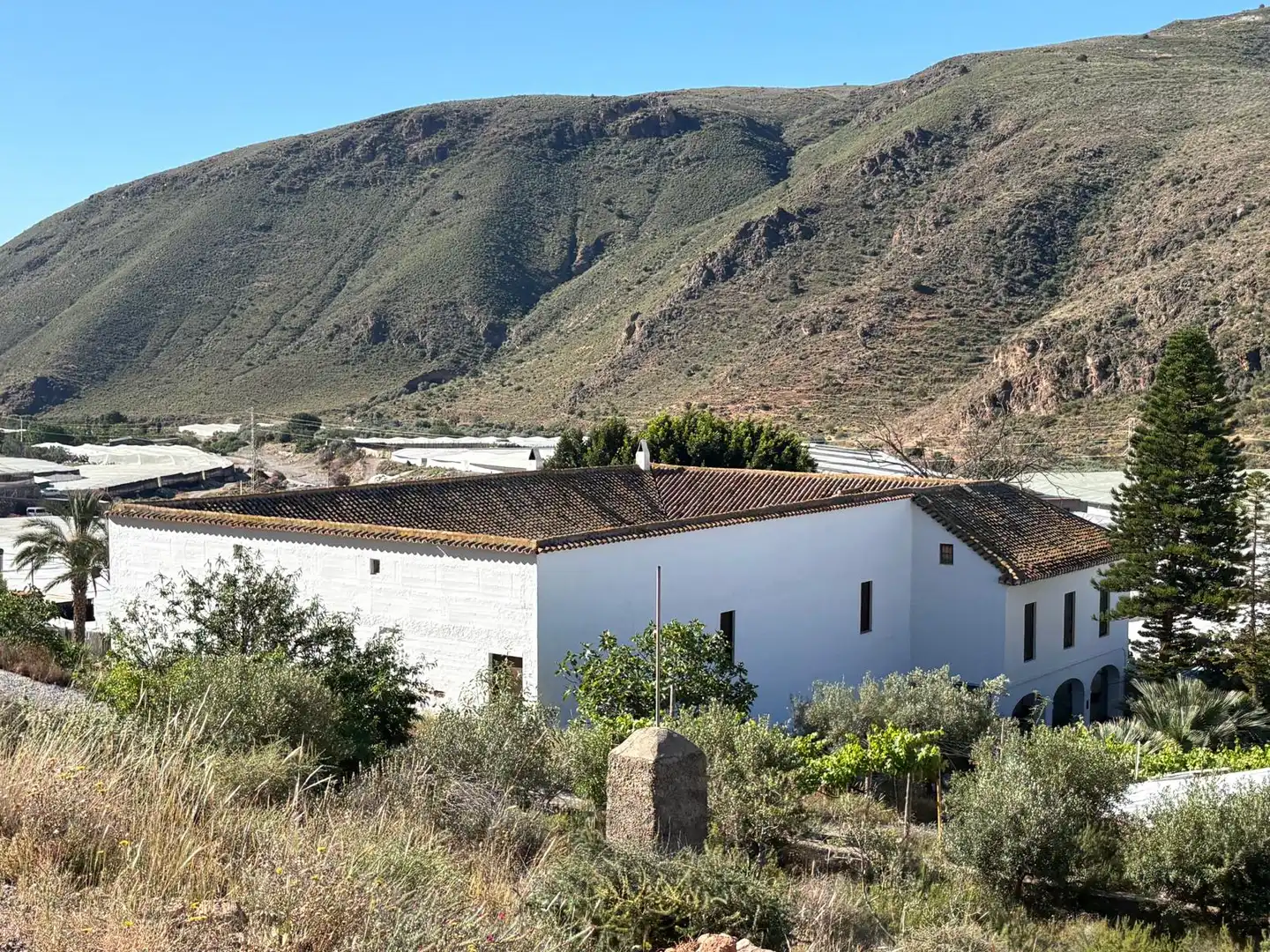 Vista exterior de Casa o xalet en venda en Berja amb Jardí privat, Terrassa i Moblat
