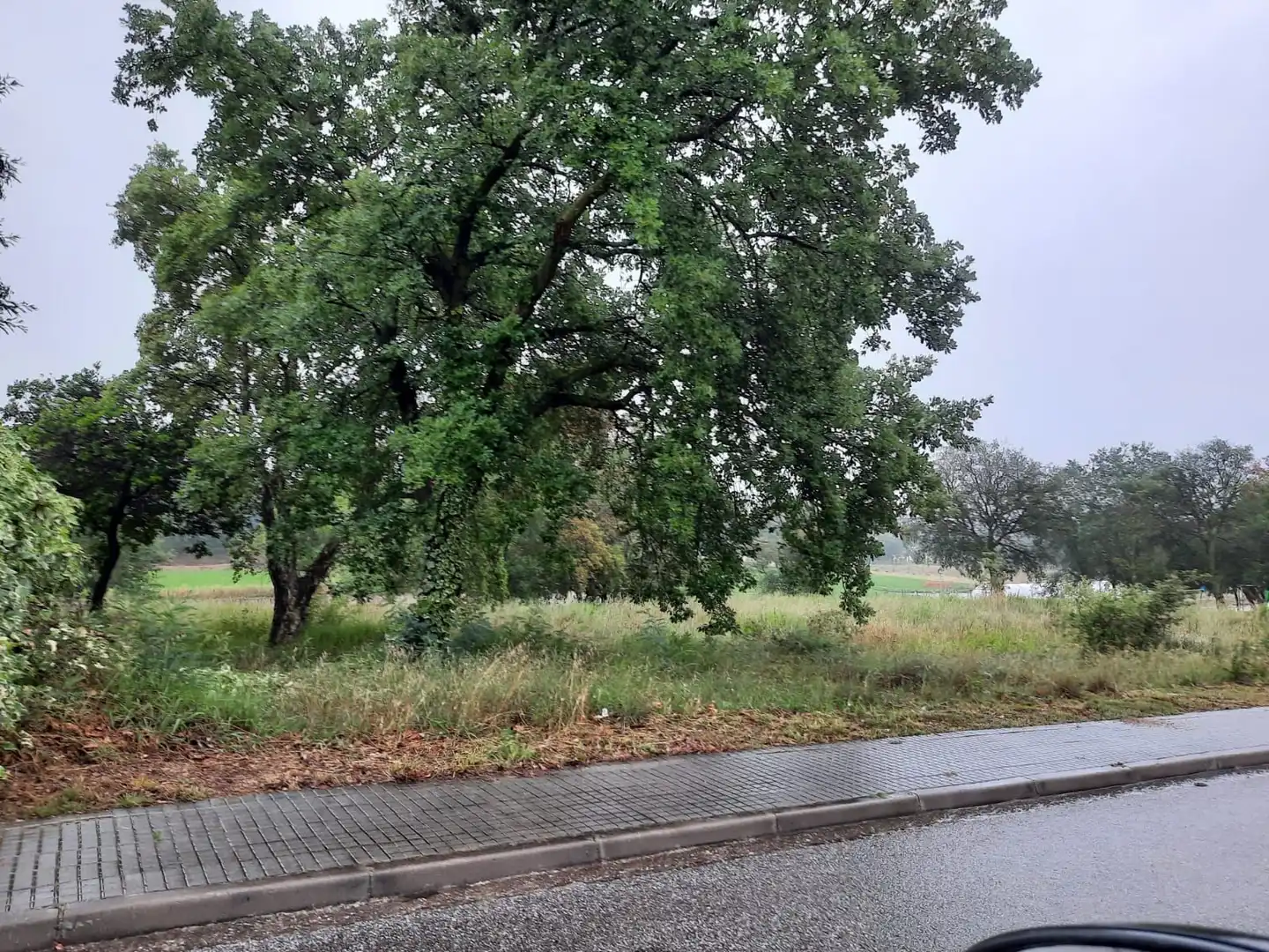 Terreny residencial en venda a Sant Feliu de Buixalleu, imagen 5